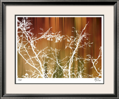 Warm Rain by M.J. Lew Pricing Limited Edition Print image