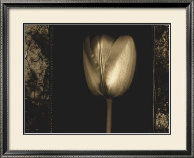White Tulipa Ii by Rick Filler Pricing Limited Edition Print image
