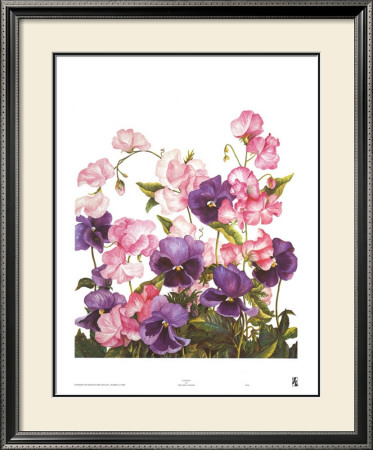 Pansies by Dru Bell Byers Pricing Limited Edition Print image