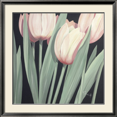 Tulips Harmony I by Franz Heigl Pricing Limited Edition Print image