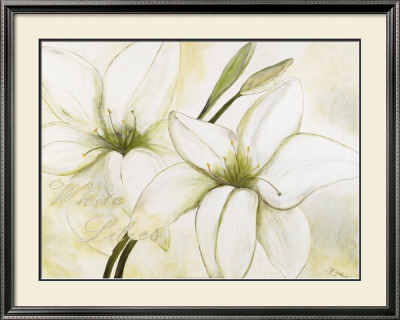 White Lilies by Heidi Gerstner Pricing Limited Edition Print image