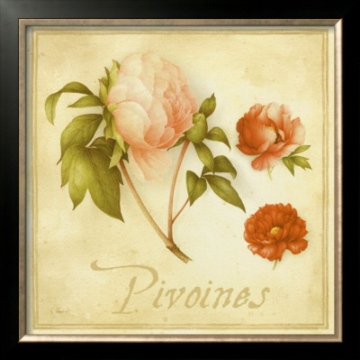 Pivoines by Vincent Perriol Pricing Limited Edition Print image