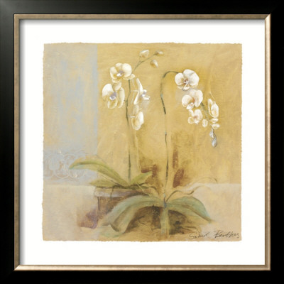 Orchid Variation Ii by Gabor Barthez Pricing Limited Edition Print image