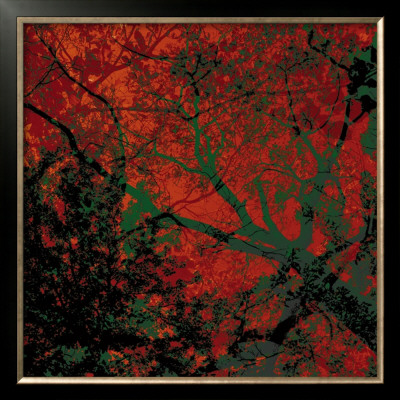 Vegetaux 12, 2008 by Nicolas Le Beuan Benic Pricing Limited Edition Print image