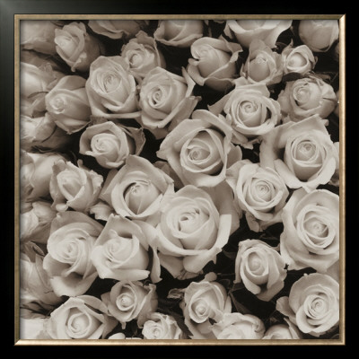 Rose Points by Carnochan Pricing Limited Edition Print image