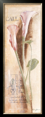 Calla by Anna Gardner Pricing Limited Edition Print image