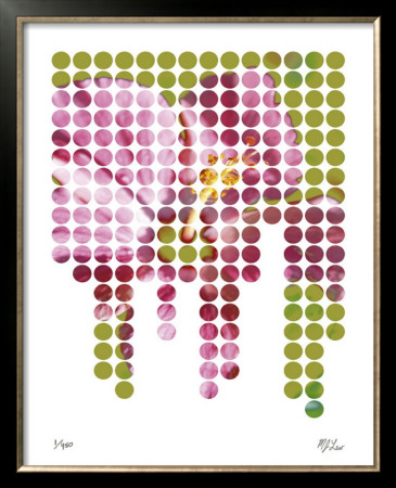 Flower Mosaic Ii by M.J. Lew Pricing Limited Edition Print image