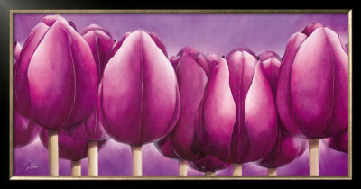 Sleeping Tulips by Alicia Sloan Pricing Limited Edition Print image
