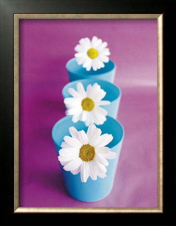 Marguerites by Amelie Vuillon Pricing Limited Edition Print image