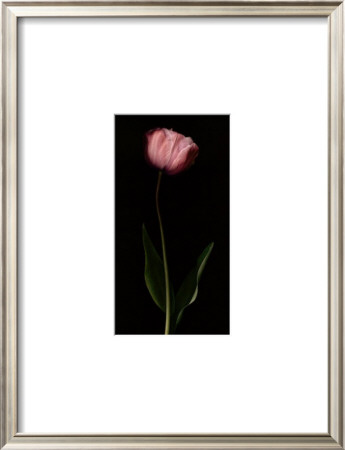 Grace Ii by S. G. Rose Pricing Limited Edition Print image