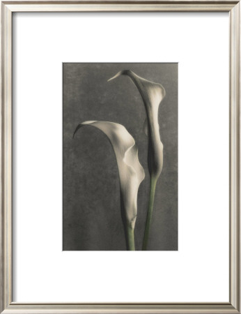 Two Lilies Ii by Diane Poinski Pricing Limited Edition Print image