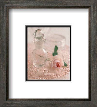 Pale Pink I by Lina Ricci Pricing Limited Edition Print image