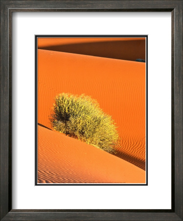 Dune Et Herbe by Bilderteam Pricing Limited Edition Print image