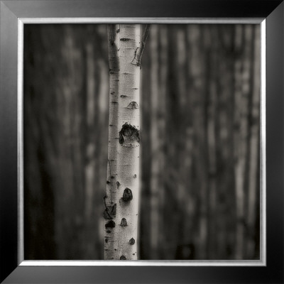 Equilibrium by Jamie Cook Pricing Limited Edition Print image