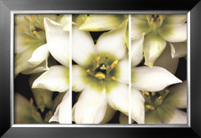 Star Of Bethlehem Triptych by Andrew Levine Pricing Limited Edition Print image