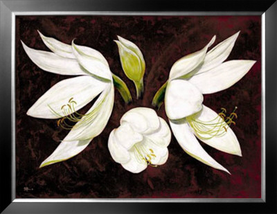 African Lily by Debra Jackson Pricing Limited Edition Print image