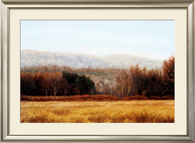 November Hedgerow by Jean K. Stephens Pricing Limited Edition Print image