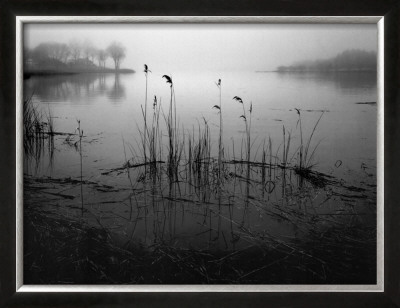 The Quiet Before by Richard Calvo Pricing Limited Edition Print image