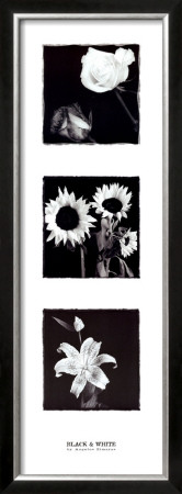 Black And White by Angelos Zimaras Pricing Limited Edition Print image