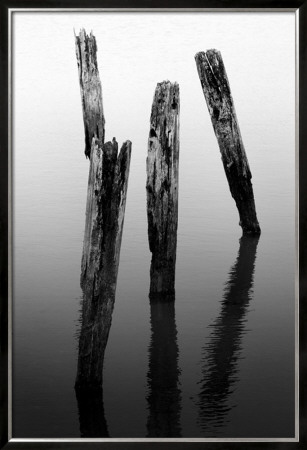 Four Pier Pilings by Shane Settle Pricing Limited Edition Print image