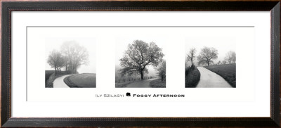 Foggy Afternoon by Ily Szilagyi Pricing Limited Edition Print image
