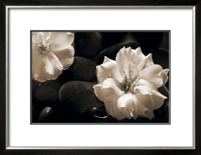 Gardenia Ii by Jeanne Michel Pricing Limited Edition Print image