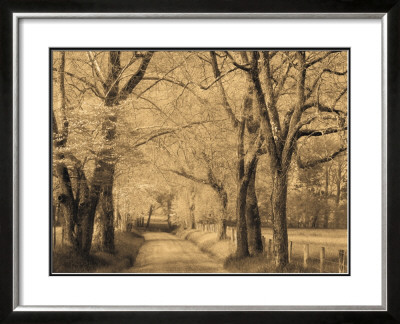 Smokies Road by Wendy Caro Pricing Limited Edition Print image