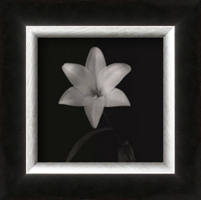 Flower Series Vi by Walter Gritsik Pricing Limited Edition Print image