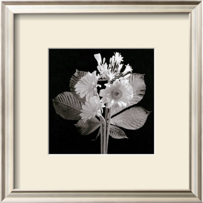Zinnias by Alfred Gockel Pricing Limited Edition Print image