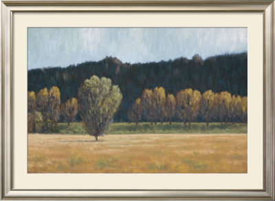 Cottonwood Country I by John Macnab Pricing Limited Edition Print image