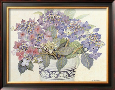 Lace Cap Hydrangeas by Barbara Van Winkelen Pricing Limited Edition Print image