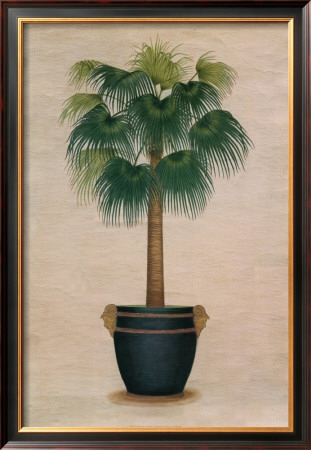 Sovereign Palm I by Iksel Pricing Limited Edition Print image