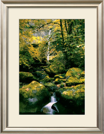 Elowah Falls by Anthony E. Cook Pricing Limited Edition Print image