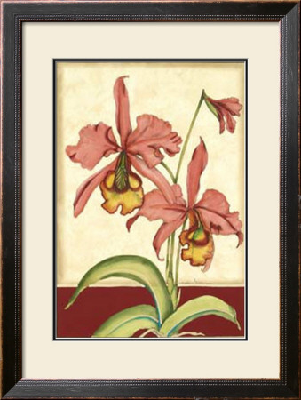 Orchid Elegance Ii by Jennifer Goldberger Pricing Limited Edition Print image