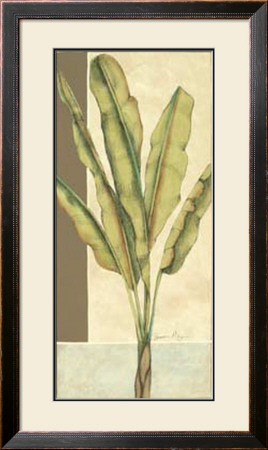 Palm Details I by Jennifer Goldberger Pricing Limited Edition Print image