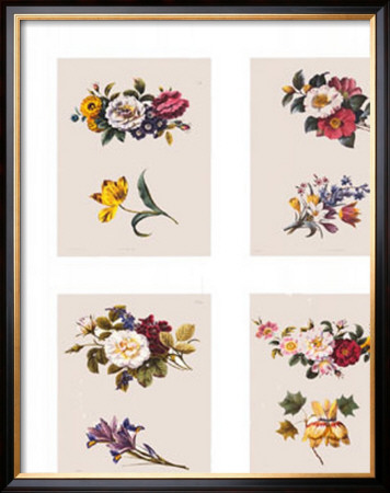 Petit Fleurs by Alfred Lemercier Pricing Limited Edition Print image