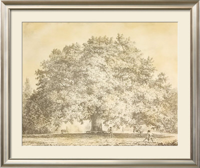 Chandos Oak by Jacob George Strutt Pricing Limited Edition Print image