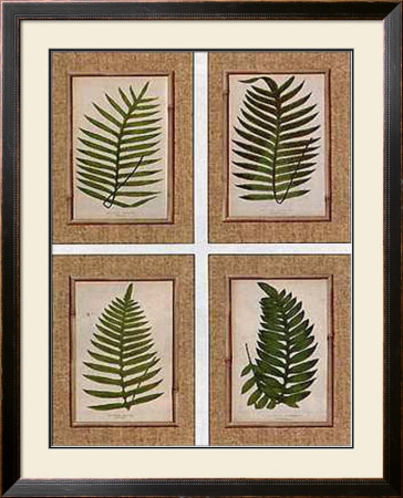 Bamboo And Ferns by Liu Chang Pricing Limited Edition Print image