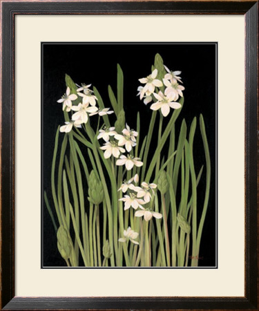 Spray Of Narcissus by Tan Chun Pricing Limited Edition Print image