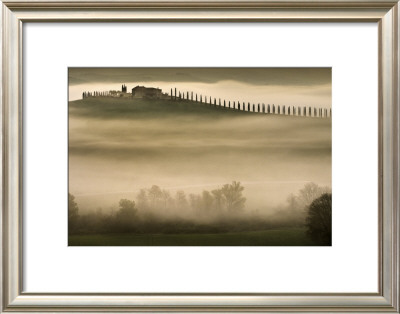 Trees In Mist Ii by Jim Gamblin Pricing Limited Edition Print image