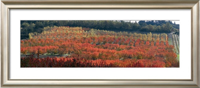 Automne En Provence by Laurent Pinsard Pricing Limited Edition Print image