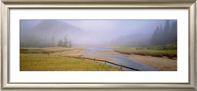 Tidal Mist by Susan Drinker Pricing Limited Edition Print image