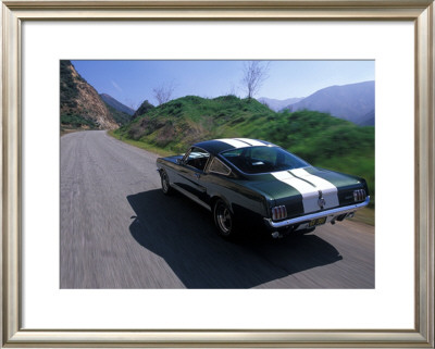 1966 Shelby Gt350 by David Newhardt Pricing Limited Edition Print image