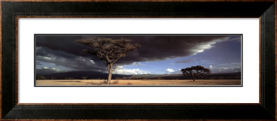 Olduvai Gorge by Chris Simpson Pricing Limited Edition Print image