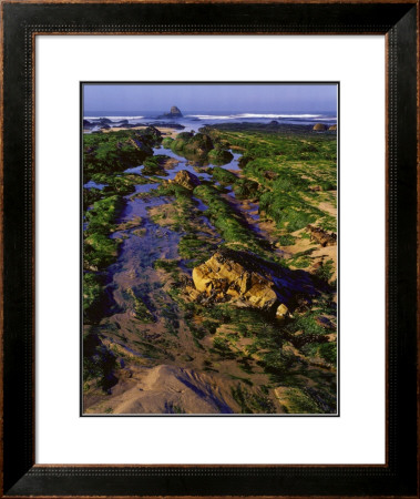 Low Tide by John Gavrilis Pricing Limited Edition Print image