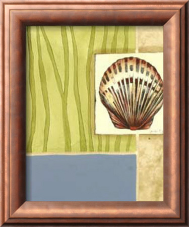 Seaside Shells Iv by Jennifer Goldberger Pricing Limited Edition Print image
