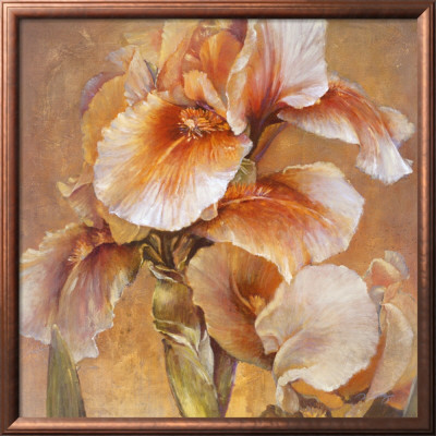 Golden Iris by Dennis Carney Pricing Limited Edition Print image