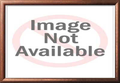 Dominion by M. L. Walker Pricing Limited Edition Print image
