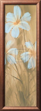 White Hibiscus I by Robert Holman Pricing Limited Edition Print image