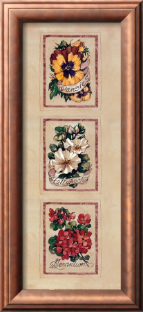 Vintage Flowers Assorted by Jerianne Van Dijk Pricing Limited Edition Print image